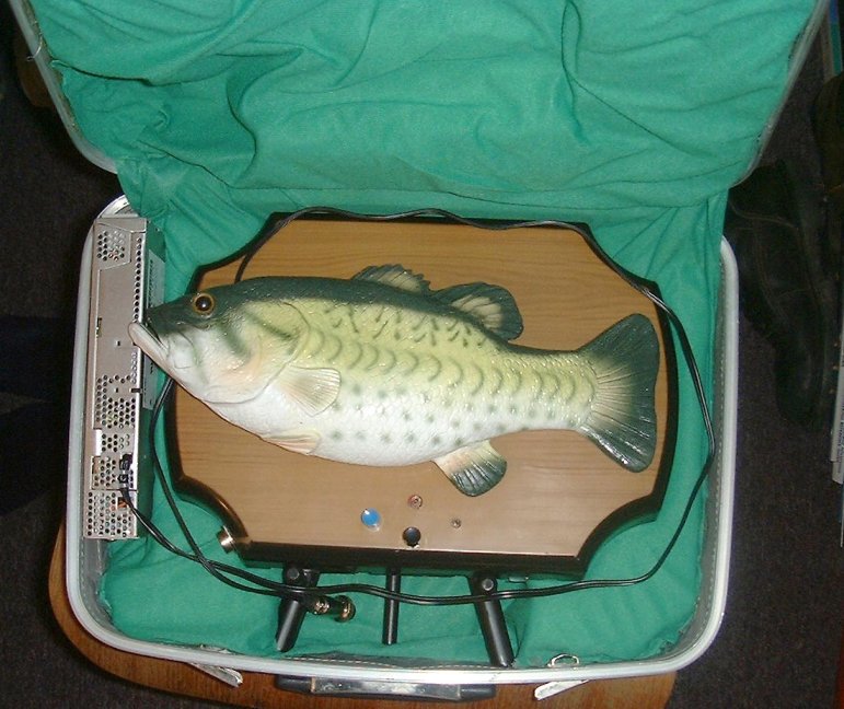 The fish inside the case